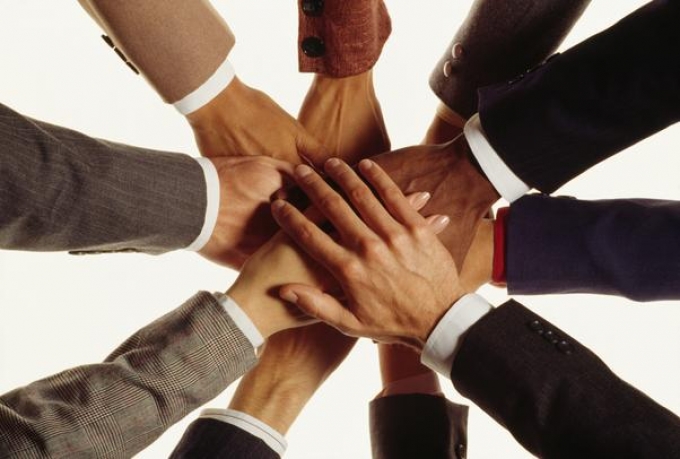 An organisation transforming to a high performance organisation